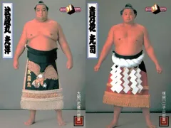 2026年最新】貴乃花の人気アイテム - メルカリ