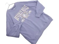 Hollister ホリスター 裏起毛 プリント トレーナー スウェット sizeL/グレー ◇■ レディース