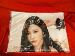 未使用 安室奈美恵 2012 ドームツアー クッション2個セット 限定