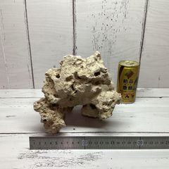 ✨イミラック級✨ 超極上セリコ 144g⭐ 最高峰造形 パラサイト 隕石