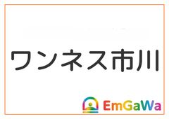 未開封】平野綾だけTV DVD出しちゃったんだぞ2009 Vol.2 4-6巻 フジ