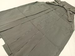 Item thumbnail for item 983a66e9-93ed-486b-a20b-f34be9ac4d0f