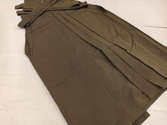 Item thumbnail for item 411e8cb3-09fa-4898-a8a9-08c582ca9f11