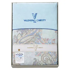 【ギフト】[寝具]ヴァレンティノ・クリスティー ウォッシャブル羽毛肌掛けふとん C-C