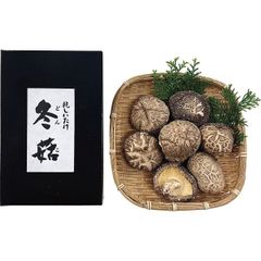 地下生菌識別図鑑 = An illustrated book of Japan… - メルカリ