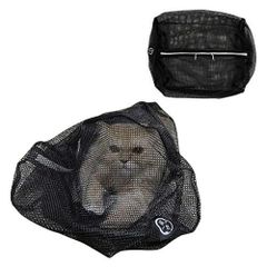 Item thumbnail for item 8e43ba52-6e95-4f65-a378-2b081047cdca