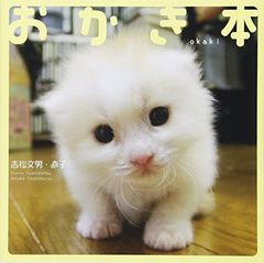 猫のひたいほどワイド」 沖 拓郎 - メルカリ