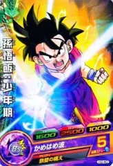 2026年最新】孫悟飯 少年期 ドラゴンボールヒーローズの人気アイテム