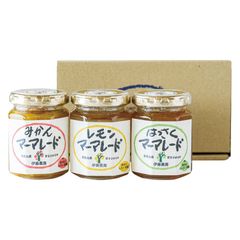 ⭐️火の国ピザ3種セット⭐️高加水生地モチモチ食感 1週間以内に発送