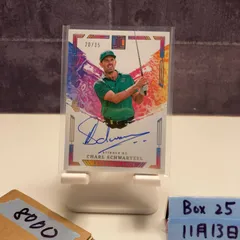 2024-25 Panini Impeccable Liv Golf Charl Schwartzel 20/35 直筆サインカード Stinger GC Extravagance カード