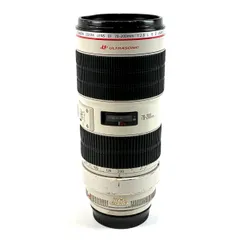 2026年最新】canon 70-200 f2.8l is ii usmの人気アイテム - メルカリ