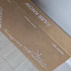 Stray Kids SKZ DICON スキズ リノ DICON Aセット フルセット トレカ付き