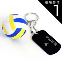 種類1:名入れタグ無し DEL 名入れ 記念品 部活 バレーボール PU ボール キーホルダー 名前 タグ付き ネームタグ 名札 アルミプレート アルミ札 ボールチェーン 卒園 卒団 部活動 お揃い 友達 かわいい 子ども 子供 スポーツ お祝い 卒部 卒業 