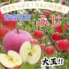 ☆期間限定☆青森県産 金星 希少 りんご 特大玉入 家庭用 6~8玉 ⑳