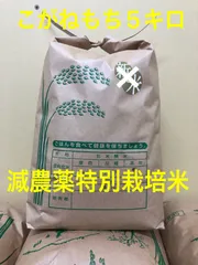 令和７年度産　もち米　こがねもち　5キロのサムネイル