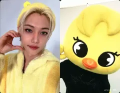 【中古】コレクションカード(男性) Stray Kids/フィリックス(Felix)/CD「Hollow」Stray Kids World Tour ＜dominATE JAPAN＞静岡エコパスタジアム公演開催記念 タワーレコードオンライン期間限定特典両面ソロ