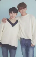 【中古】コレクションカード(男性) SEVENTEEN/JOSHUA(ジョシュア)・WOOZI(ウジ)/裏面ピンク/2018 SVT 2nd FAN MEETING＜SEVENTEEN in CARATLAND＞トレーディングカードA