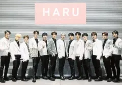 【中古】生写真(男性) SEVENTEEN/集合(13人)/横型・全身/「SEVENTEEN 2019 JAPAN TOUR ’HARU’」ローソンプリントオリジナルブロマイド