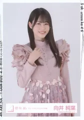 【中古】生写真(乃木坂46) 向井純葉/上半身/櫻坂46ランダム生写真【「3rd TOUR 2023」ピンク衣装】