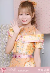 【中古】生写真(女性) イコールラブ(=LOVE)/大場花菜/上半身/イコールラブ(=LOVE)生写真セット(6周年コンサート衣装)「2024 January」