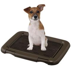 Item thumbnail for item 23ace76f-e30b-44e7-9616-dc36a0de923e