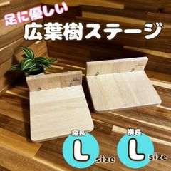 Item thumbnail for item 50ba4df3-63a5-43c3-adf9-4669c9201b80