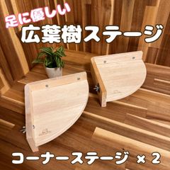 もふりん工房】オリジナル チンチラさんお迎えスターターセット - メルカリ