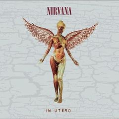 NIRVANA /IN UTERO 2013 ALBINI MIX 2LP 新品 - メルカリ