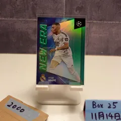 2024 Topps Lando Norris 21/25 McLaren F1 Team Driver-Worn Memorabilia Paddock Pass Relic カード