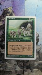MTG 今を生きる 初版 オデッセイ 日本語2枚 まとめ売り - メルカリ