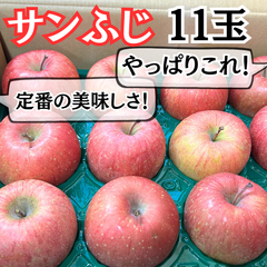 サンふじ りんご 家庭用 【特/規格】サンフジ 贈答 サンふじ 11玉 青森県産≪送料無料≫ 訳あり 甘い 蜜入り期待 市場直送 新鮮りんご サンフジ りんご リンゴ 試食 さんふじ シャキシャキ