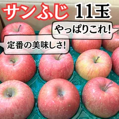 サンふじ りんご 家庭用 【特／規格】サンフジ 贈答 サンふじ 11玉 青森県産≪送料無料≫ 訳あり 甘い  市場直送 新鮮りんご サンフジ りんご リンゴ 試食 さんふじ シャキシャキ