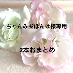 ちゃんみおぽんけ様専用　ミサンガ2本おまとめ　アンクレット　ブレスレット
