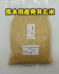 無農薬発芽玄米 芽吹き小町 有機認証発芽玄米「あきたこまち」 5キロ(5