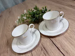 ジョバンニヴァレンチノ　Giovanni Valentino カップ&ソーサー　2客セット　桃山陶器