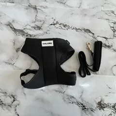 ハーネス(Lサイズ)【ブラック】