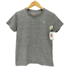 ザノースフェイス THE NORTH FACE  Monkey magic Tee モンキーマジックTシャツ メンズ import：L 