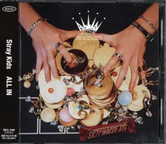 StrayKids 通常盤 ALL IN