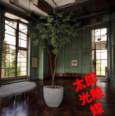 光触媒 人工観葉植物 ウォールグリーン フェイクグリーン アーモンド