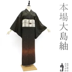 2026年最新】みやがわ 大島紬の人気アイテム - メルカリ
