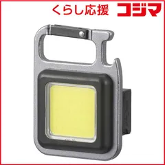 【 新品 未開封 】 オーム電機 コンパクトCOBライト充電式550ルーメン ［LED /充電式 /防水］ LH-CT55A5 未使用 送料無料のサムネイル