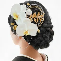 3world 髪飾り 和装 成人式 卒業式 結婚式 水引き 金箔 パール セット SW2517 (胡蝶蘭（8点セット）)