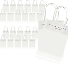 3world ラッピング袋 透明 手提げバッグ シール封式 デコレーションシールなし 小分け 包装 プチギフト プレゼント 梱包 資材 SW2254 24枚ホワイト ((24枚)ホワイト)