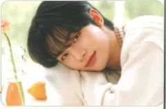 StrayKids NACIFICコラボ Hyunjin トレーディングカード 茶