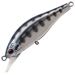 Item thumbnail for item 2622bac2-39b4-4a2f-b9a2-dcab2af116f0