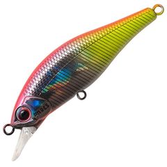 Item thumbnail for item 9fdb3ff8-ad62-4bd6-bc5b-95dc8ba8c594