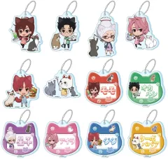 【中古】キーホルダー 全12種セット 「ダンダダン ぷちちょこ トレーディングアクリルキーホルダー(猫カフェ)」