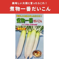 岡山県産 農薬不使用 無肥料 ねずみ大根 1㎏以上 辛味大根 野菜セット