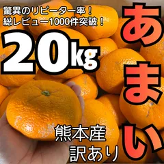 青島みかん！熊本県産 訳あり あまい みかん 約20kg S～Lサイズ サイズ キズあり 傷あり 甘酸っぱい 果物 お買得 フルーツ