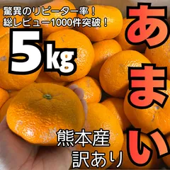 みかん 青島【味には自信あり】青島みかんが甘い！キズありでお得！ミカン たっぷり5kg サイズ S～L ５キロ 家庭用 訳あり 甘酸っぱい 果物 お買得 フルーツ みかん ミカン ワケあり 訳あり 傷あり キズあり 家庭用 箱買い